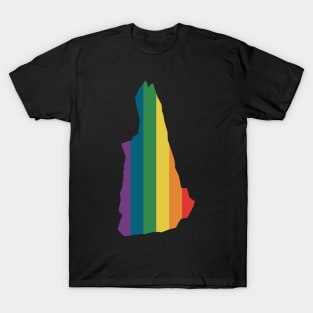 New Hampshire State Rainbow T-Shirt